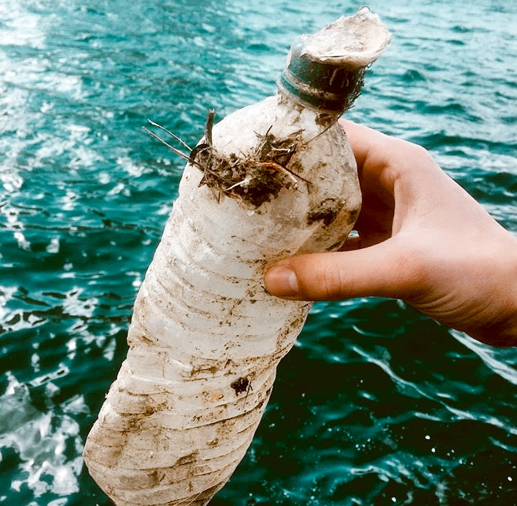 Botella de plástico recogida del mar por The Gravity Wave